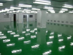 环氧净化地板