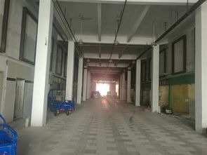 肇庆市厂房安全检测鉴定机构发布2023年度技术指导，筑牢建筑工程安全防线